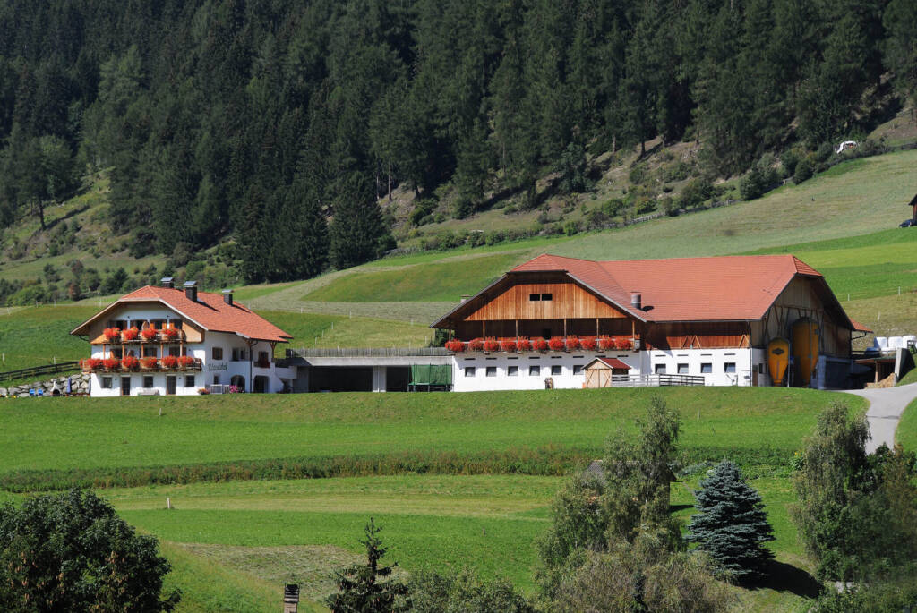 Klaudehof in Dobbiaco, Italy