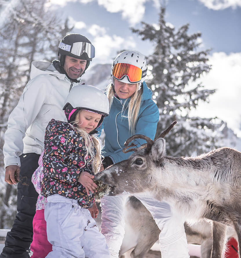 Una famiglia nutre una renna - Klaudehof